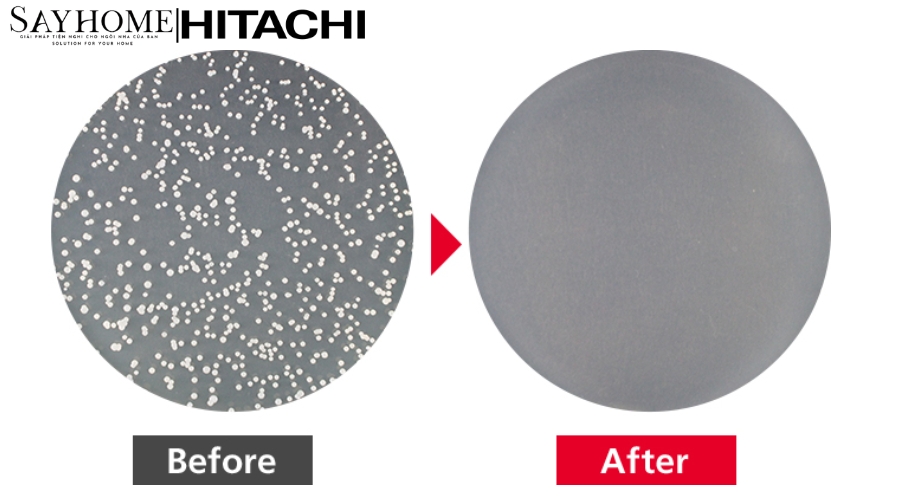 Máy Giặt Cửa Trên Inverter - Dual Jet 20kg SF-200ZHV NEW tại thành phố Hồ Chí Minh