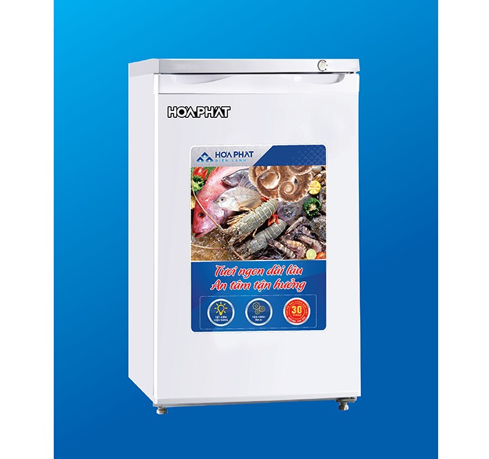 Tủ đông Hòa Phát đứng HUF 300SR1 tại thành phố Hồ Chí Minh