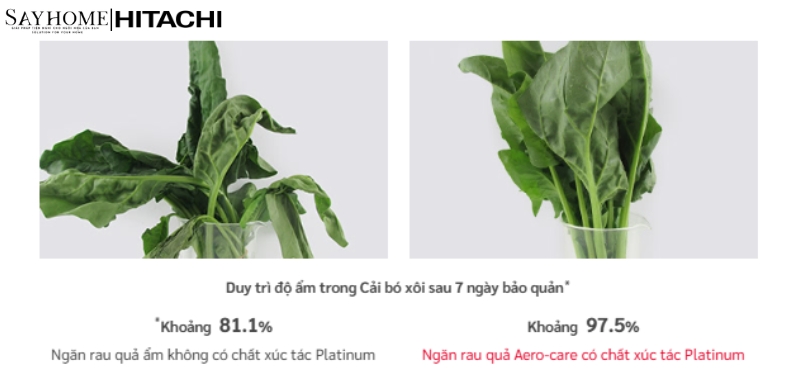 Tủ lạnh Hitachi Inverter 735 lít R-ZX740KV tại thành phố Hồ Chí Minh