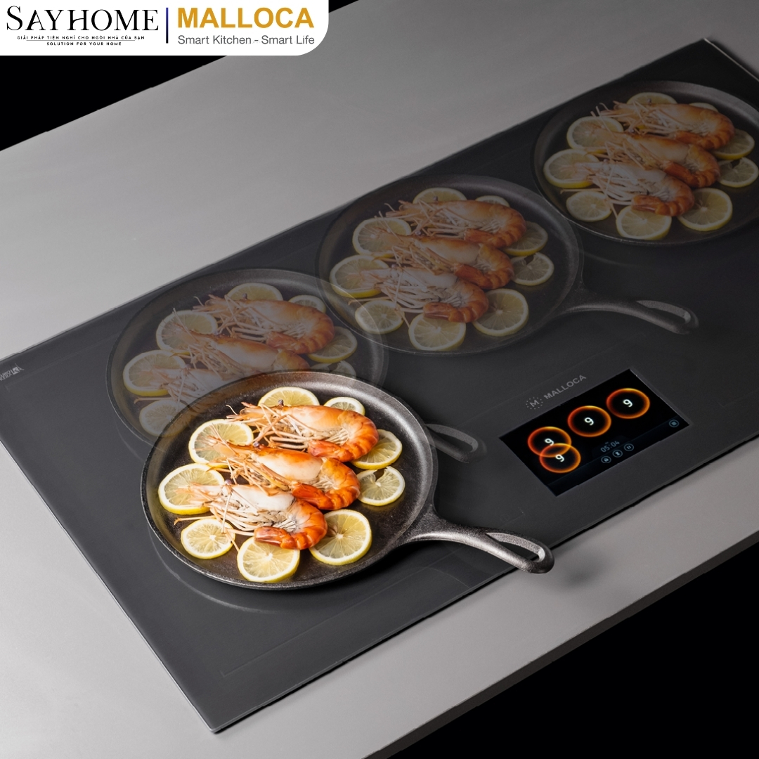 Bếp từ đa điểm Malloca TFT Skylux MH-92TFT tại thành phố Hồ Chí Minh