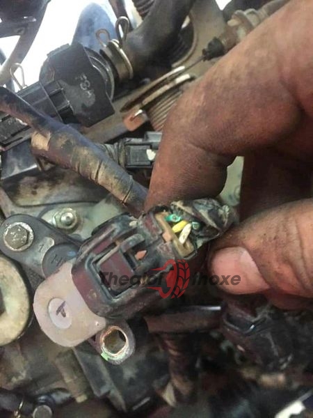 dây cảm biến bướm ga đã gãy