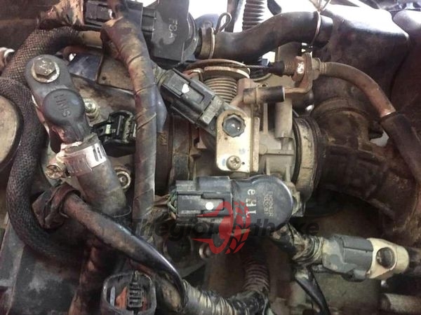 kỹ thuật viên thay rắc mới.