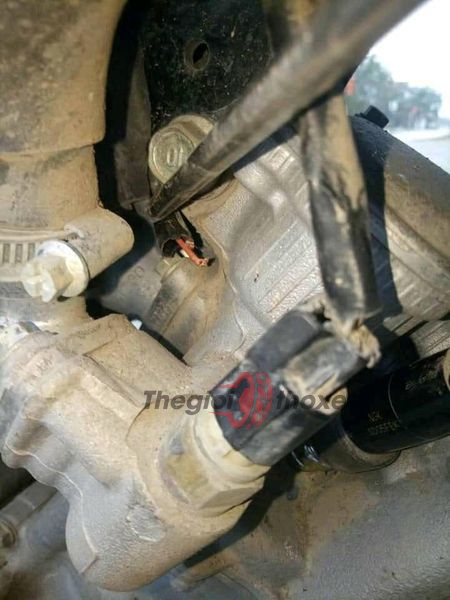 một số dây đã bị cắt đứt, do bị chuột cắn