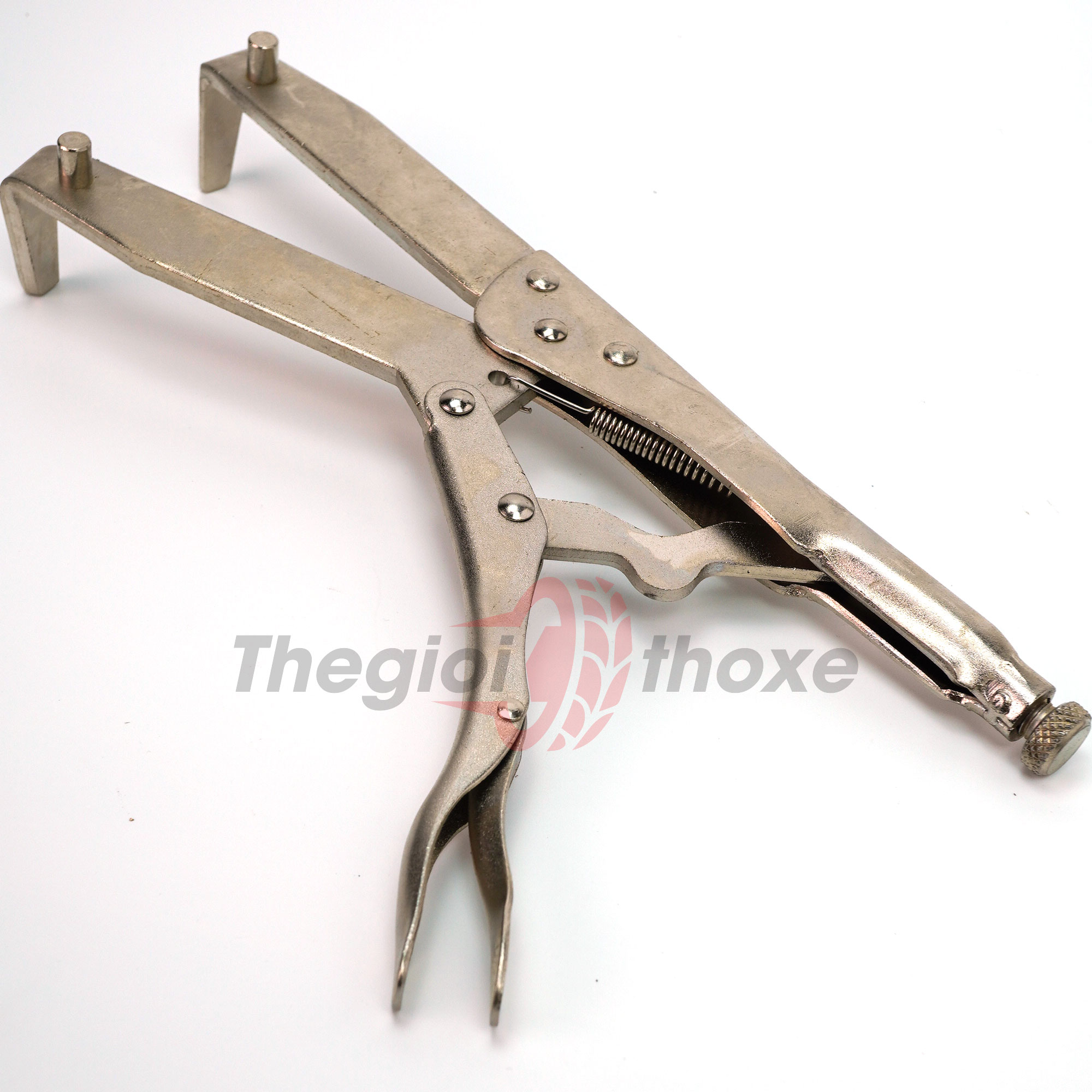 Kìm giữ bát ly hợp tại Thế Giới Thợ Xe