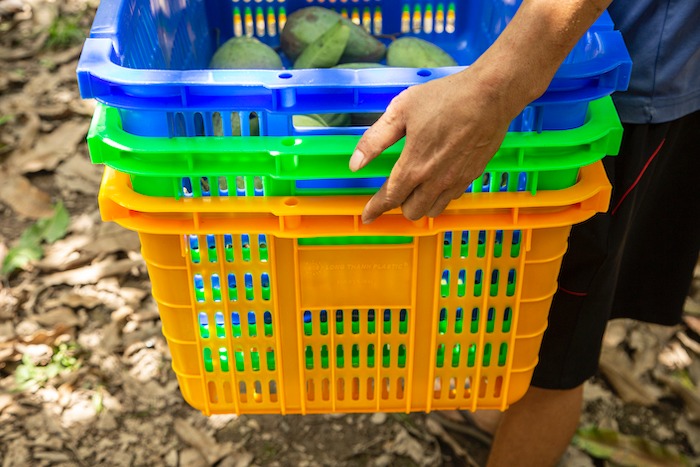 Sóng nhựa được sử dụng rộng rãi trong đời sống