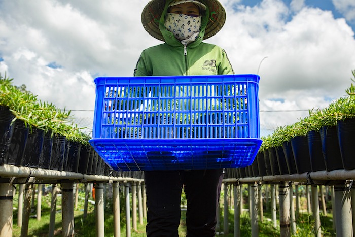 Sọt nhựa dùng trong sản xuất