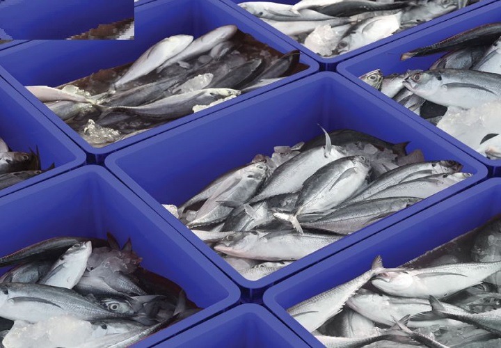 Sóng nhựa bít dùng trong đánh bắt cá