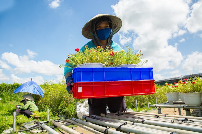 Sóng nhựa bít sử dụng trong nông nghiệp