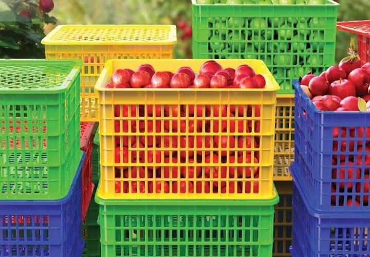 Lựa chọn sóng đựng trái cây phù hợp