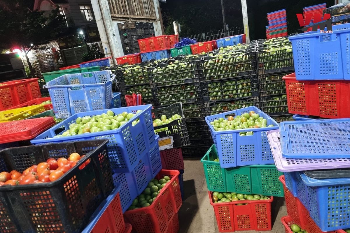 Sóng nhựa đựng trái cây bền bỉ và chắc chắn