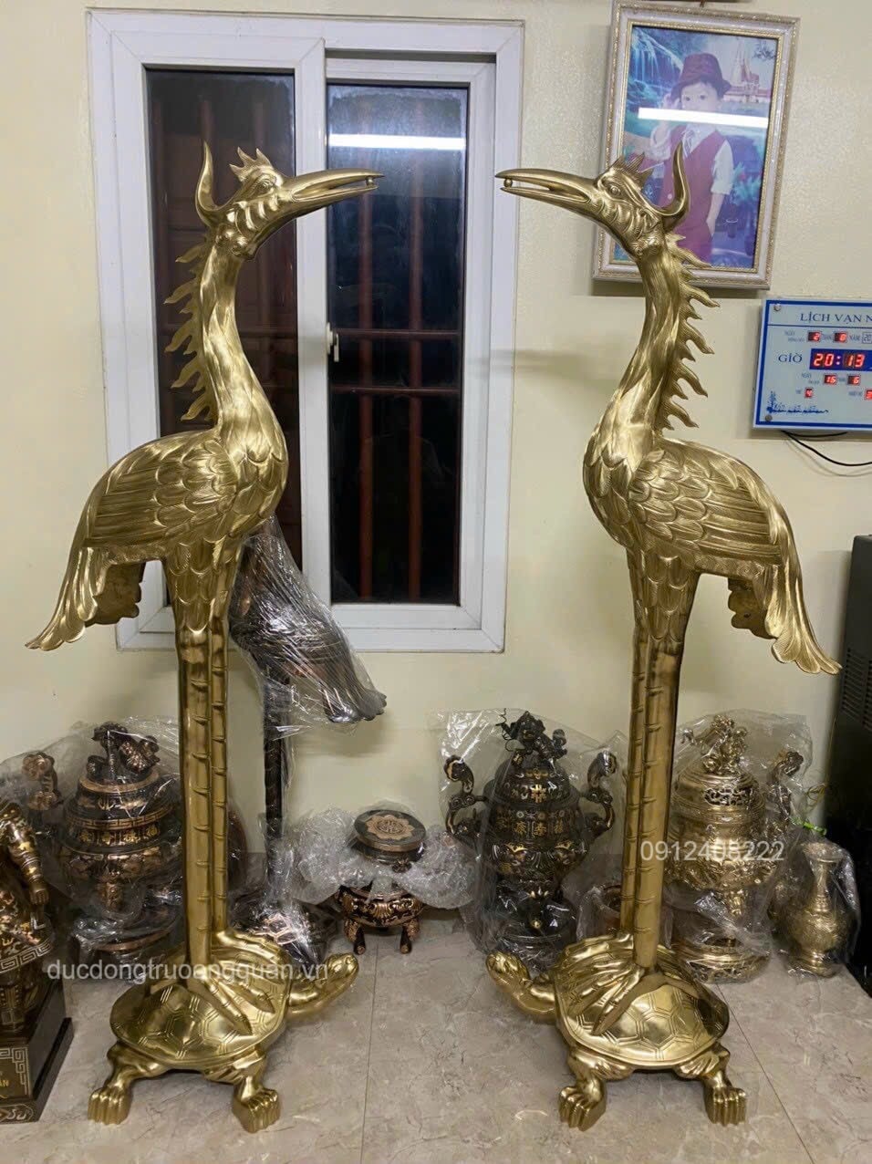 HẠC ĐỒNG VÀNG CAO 1M76