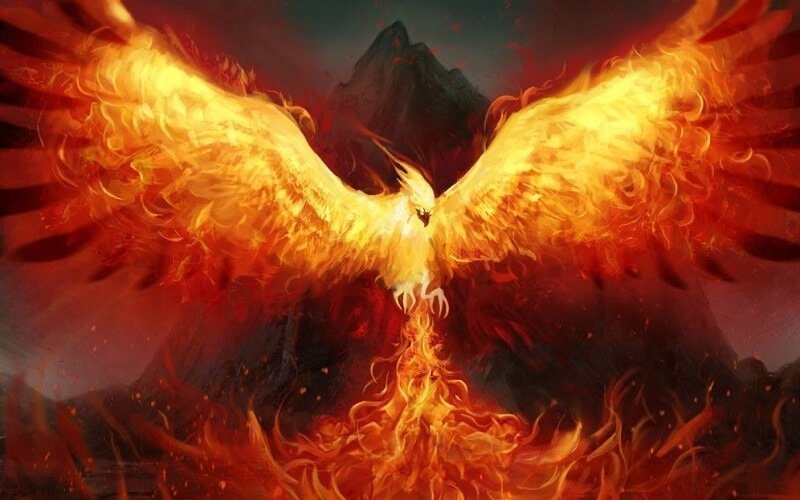 Chim phượng hoàng lửa