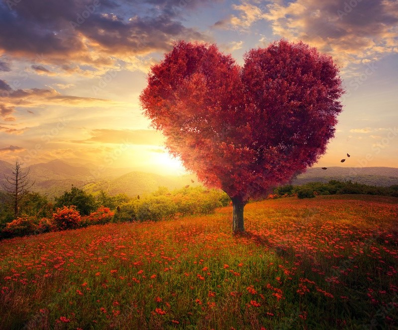 Nguồn gốc biểu tượng hình trái tim