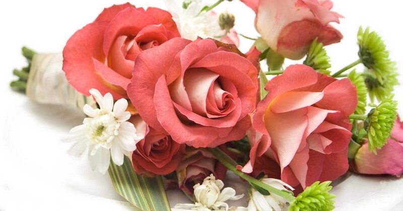 Tại sao nên tặng hoa cho người yêu vào ngày sinh nhật?