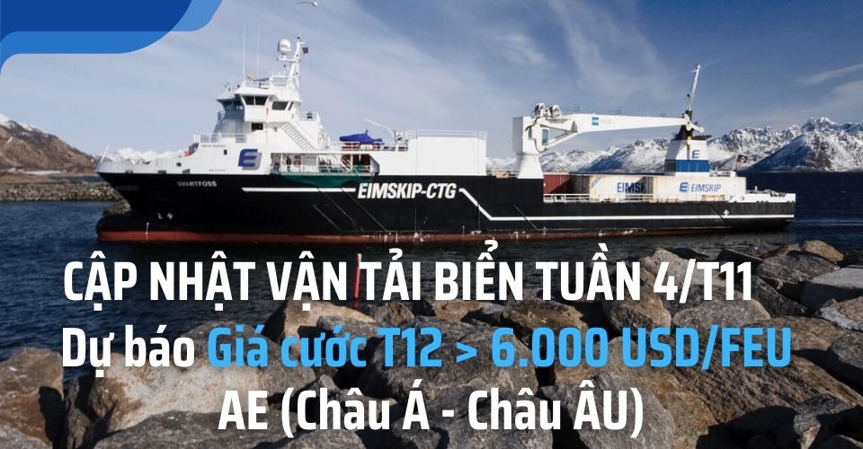cập nhật cước vận tải biển tuần 4 tháng 11