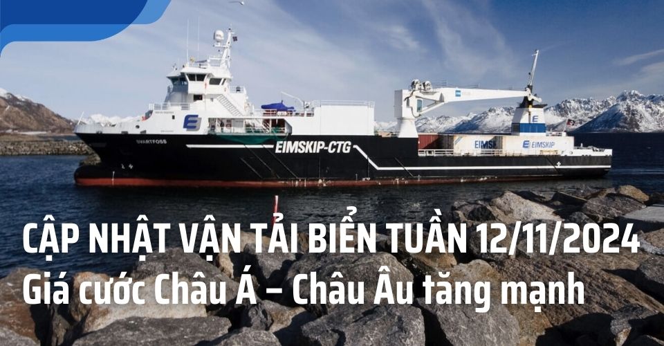 cước vận tải biển tuần 12.11.2024