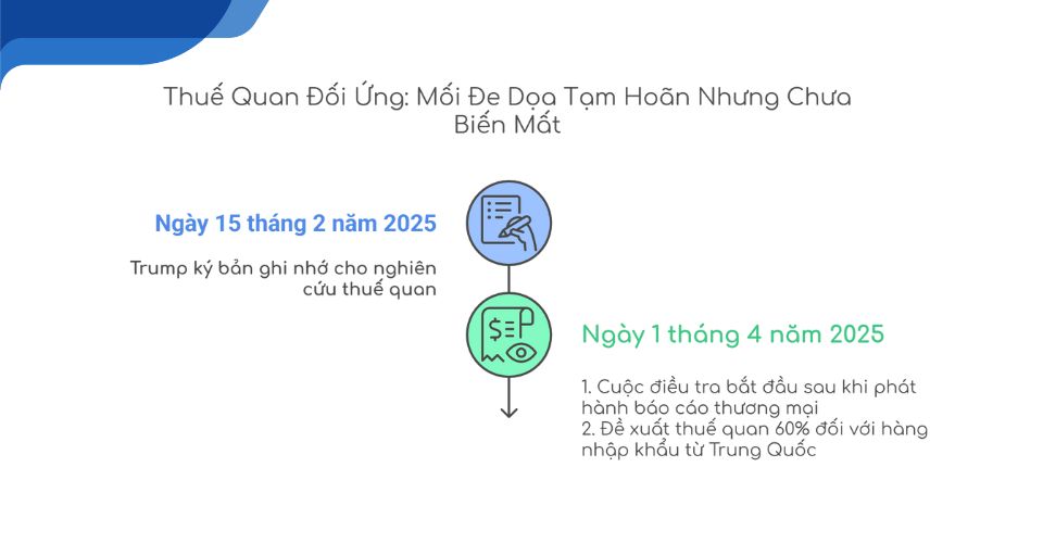 cước vận tải biển quốc tế 19.02.2025