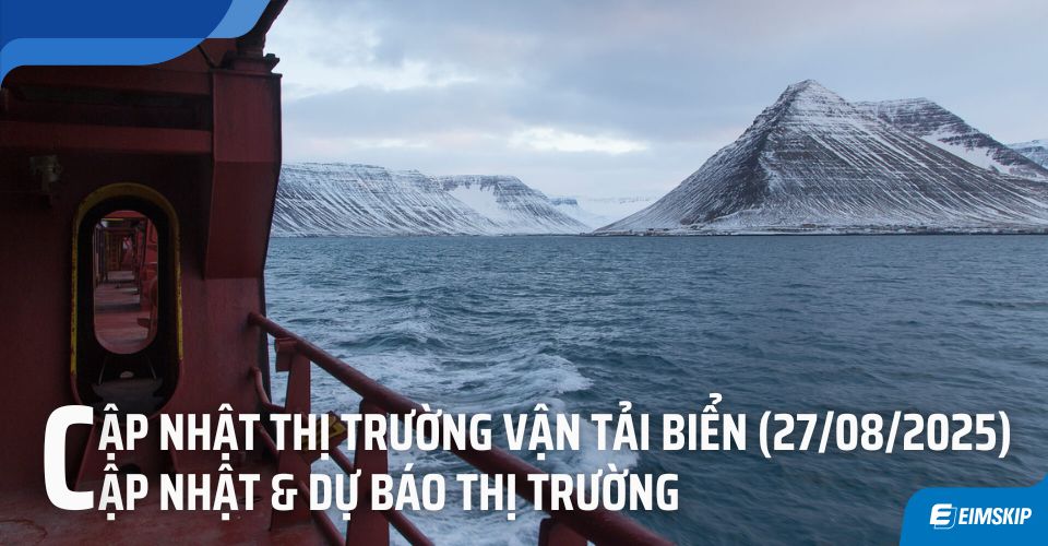 Tin tức cước vận tải biển mới nhất – Tuần 27/08/2025