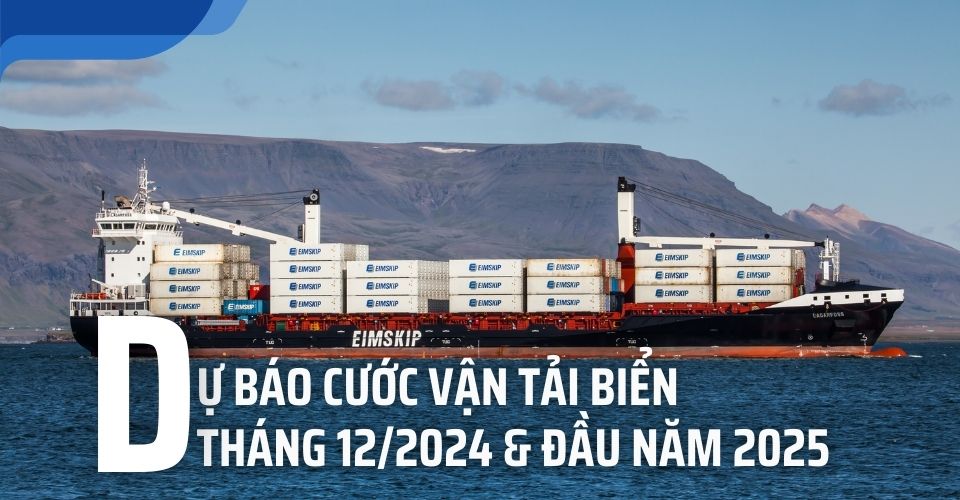dự báo cước vận tải biển tháng 12