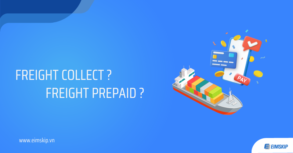 Freight collect là gì? Freight prepaid là gì?