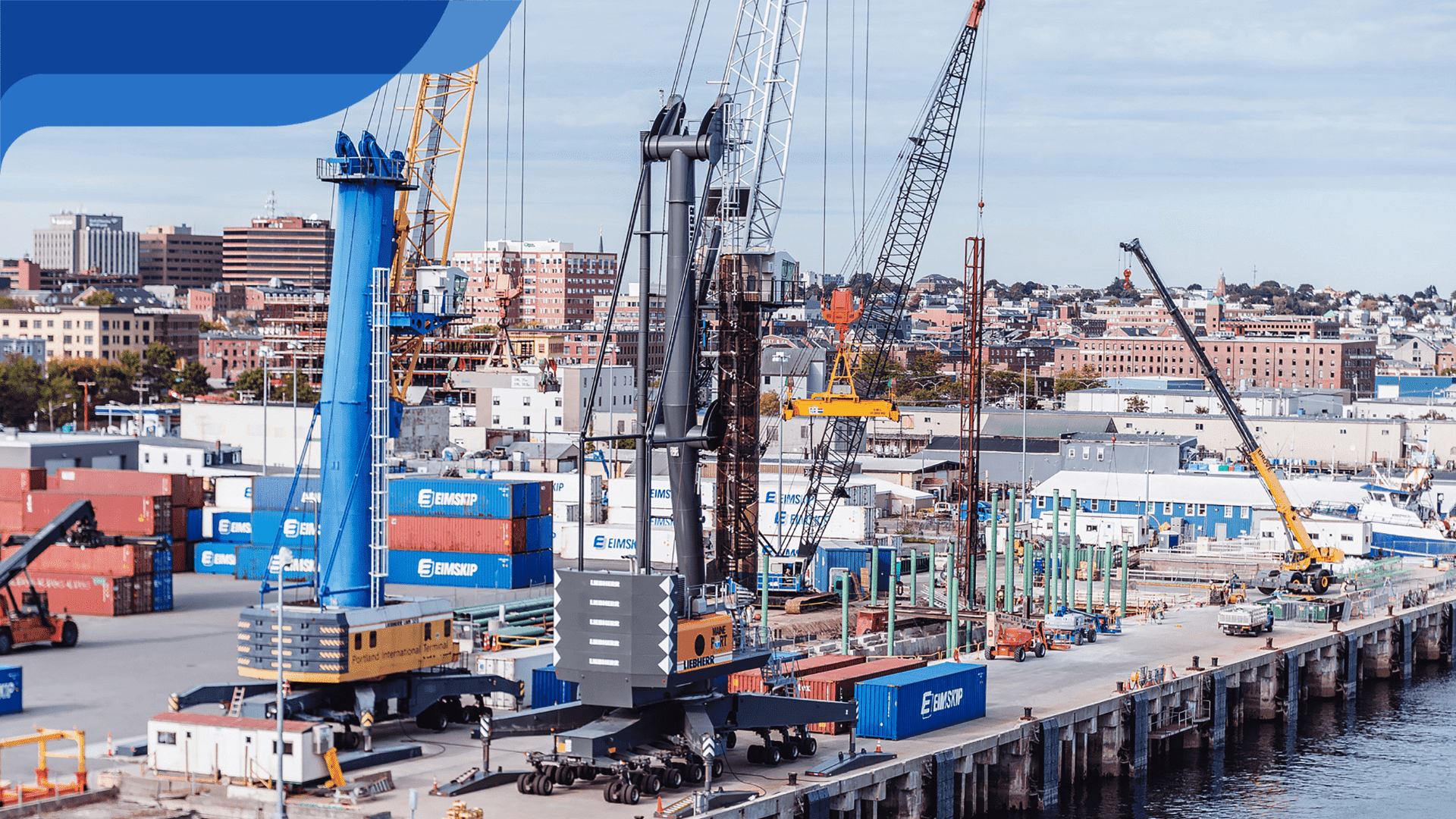 khai báo hải quan điện tử