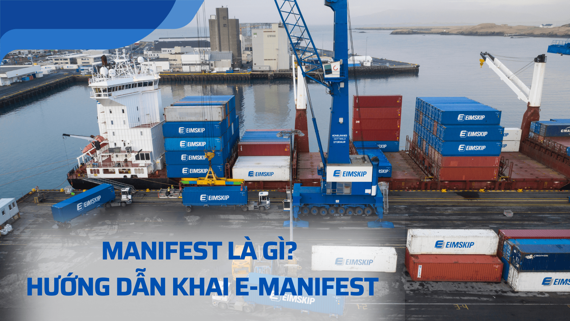 manifest là gì