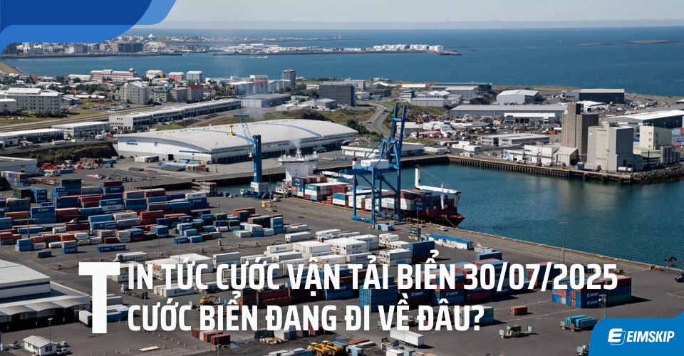 Tin tức cước vận tải biển 30/07/2025 Cước biển đang đi về đâu?