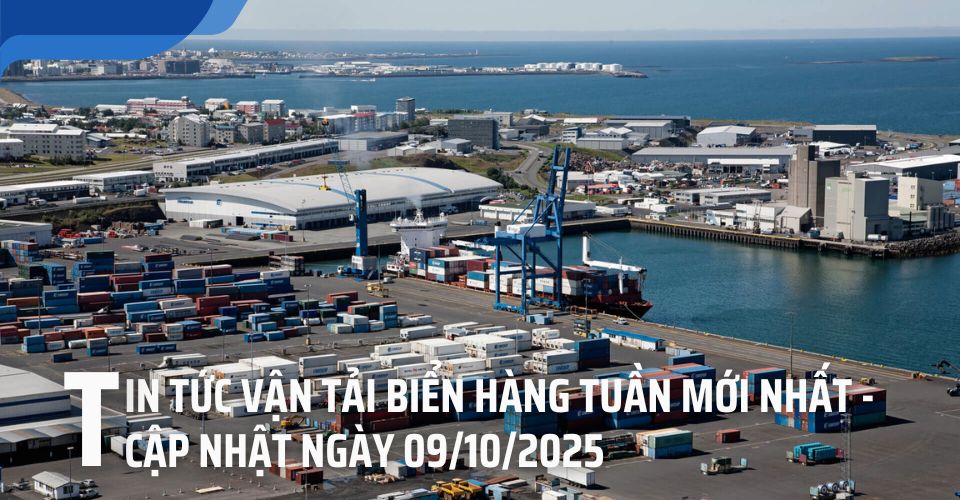 tin tức cước vận tải biển 09/10/2025