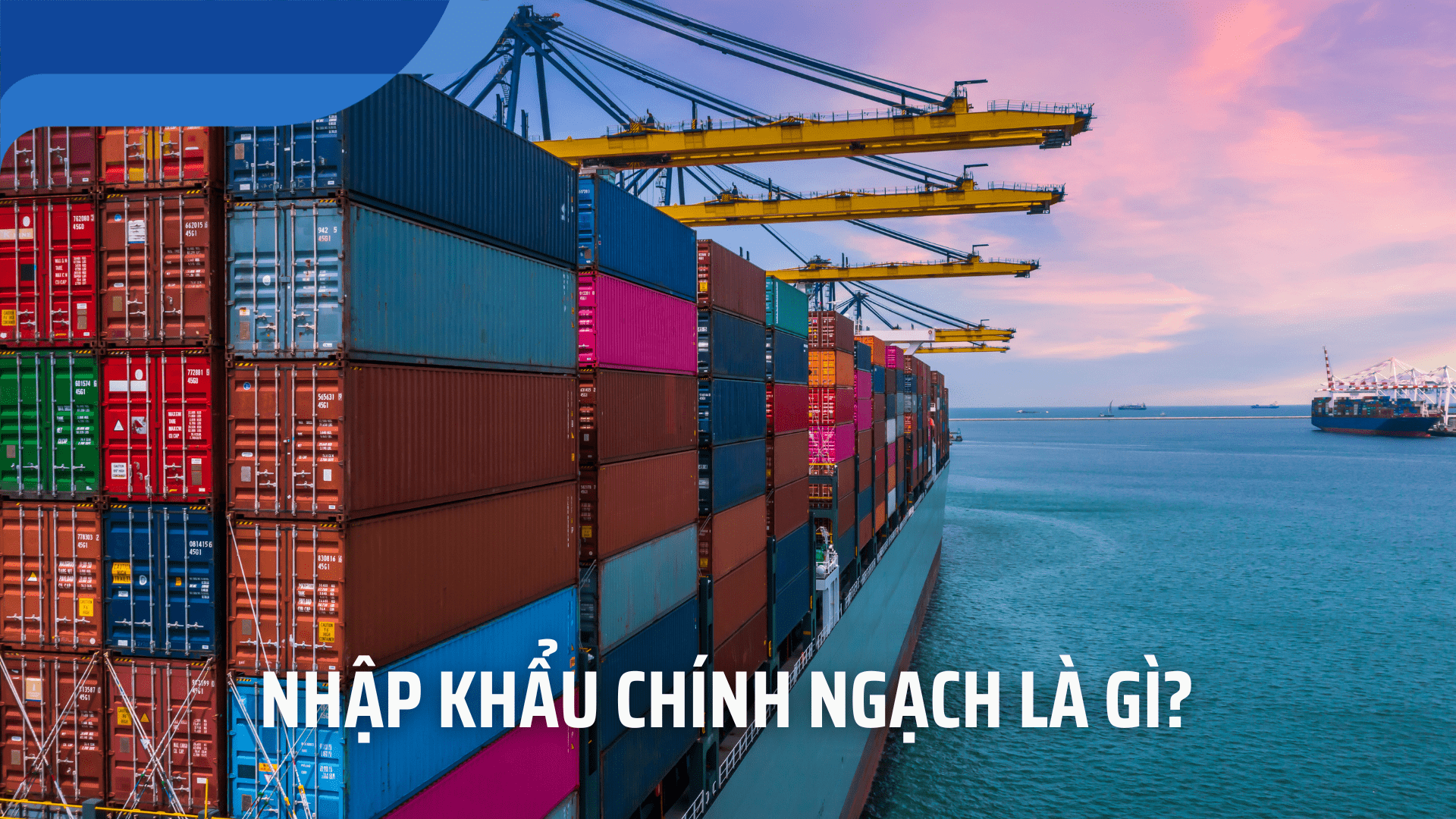 nhập khẩu chính ngạch