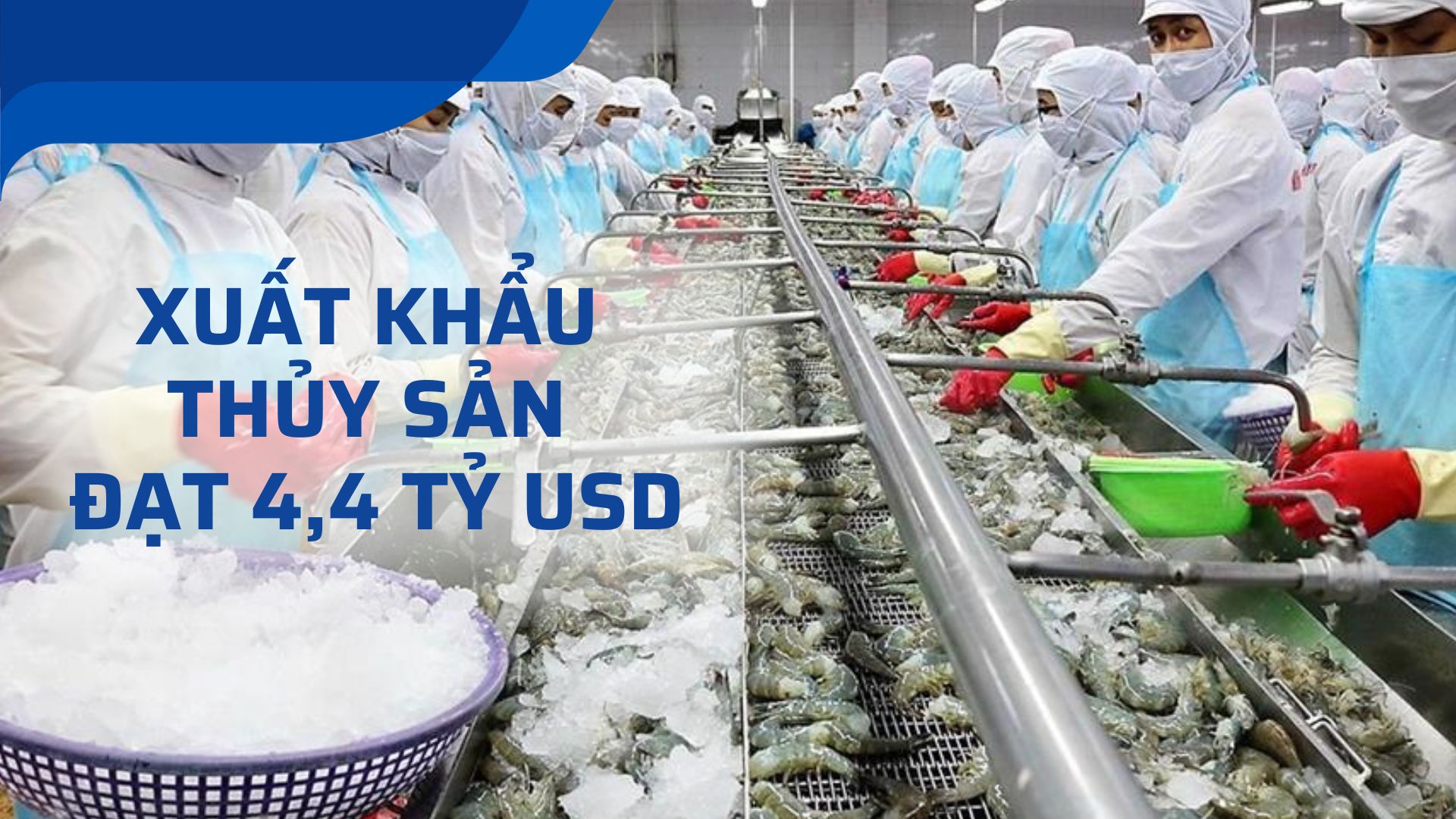 xuất khẩu thủy sản quốc tế