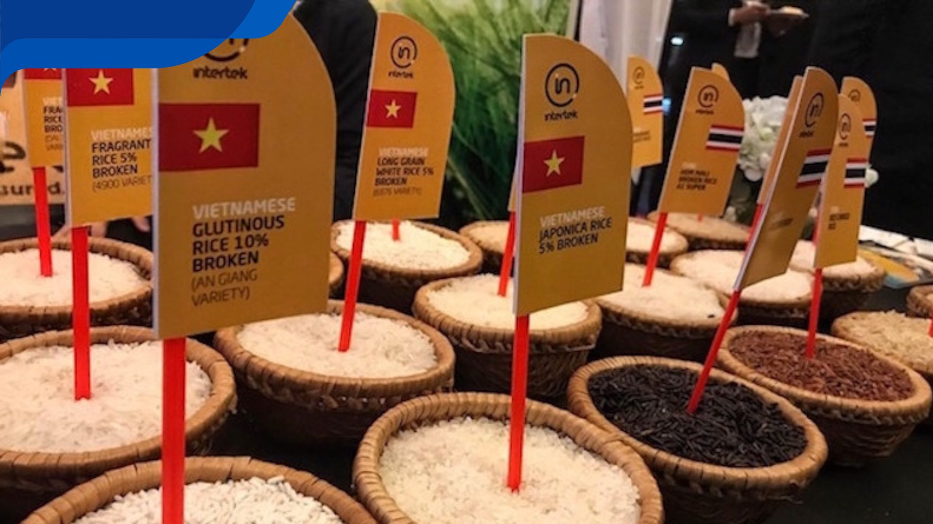 xuất khẩu gạo quốc tế