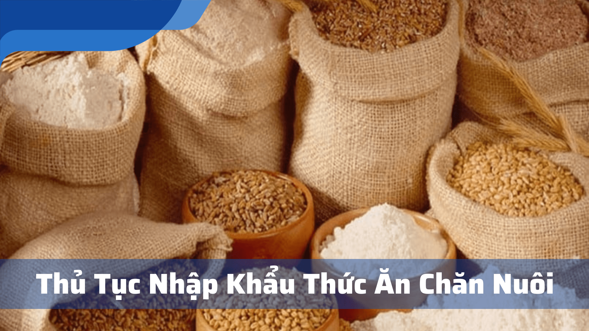 thủ tục nhập khẩu thức ăn chăn nuôi