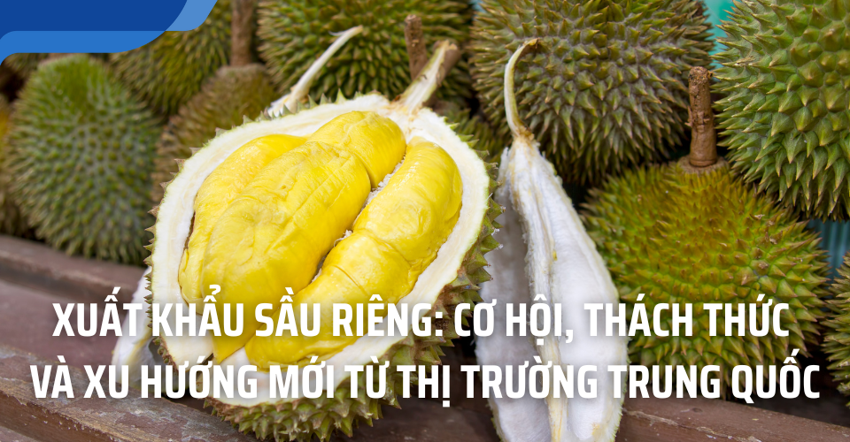 xuất khẩu sầu riêng