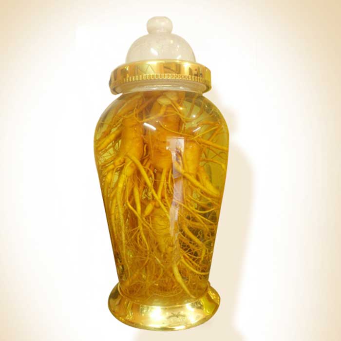 Ứng dụng của bình ngâm rượu trong đời sống