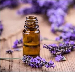 Sự Lựa Chọn Hoàn Hảo: Top 5 Chai tinh dầu Nổi Bật Năm Nay