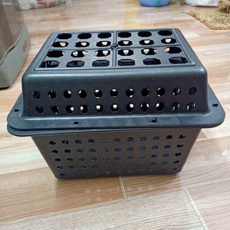 Hộp nhựa nuôi cua biển