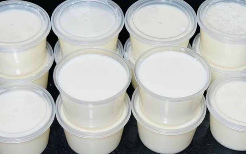 Hũ sữa chua nhựa