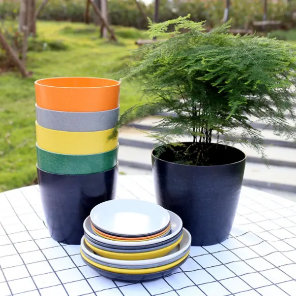 Chậu cây cảnh 4