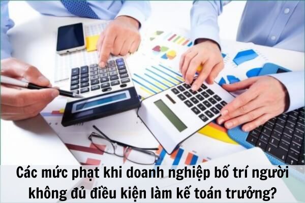 Doanh nghiệp bố trí người không đủ điều kiện làm kế toán trưởng bị xử lý như thế nào?