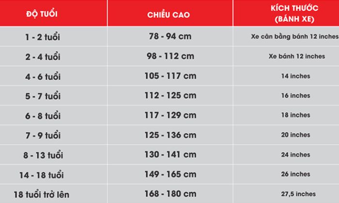 Bảng số đo kích thước phù hợp