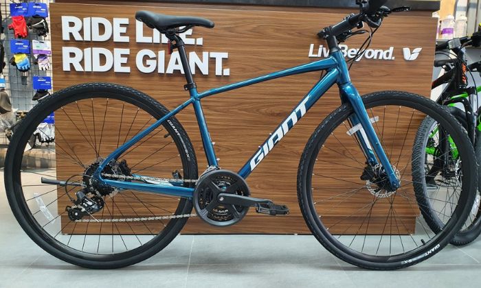 Xe đạp thể thao Giant