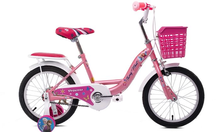 Xe đạp trẻ em Thống Nhất