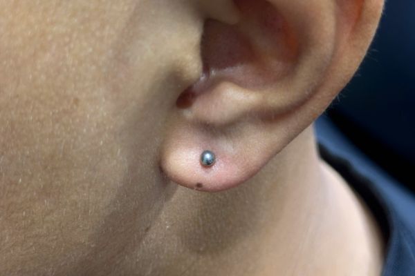 Bộ sưu tập bạn nam xỏ thịt tai 10/2024