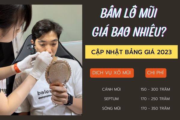 Bấm lỗ mũi bao nhiêu tiền