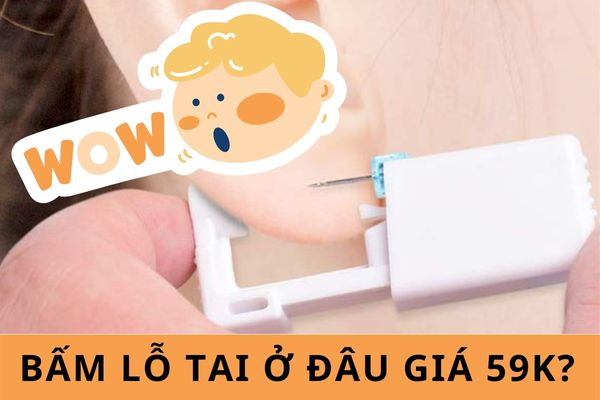 Bấm lỗ tai ở đâu?