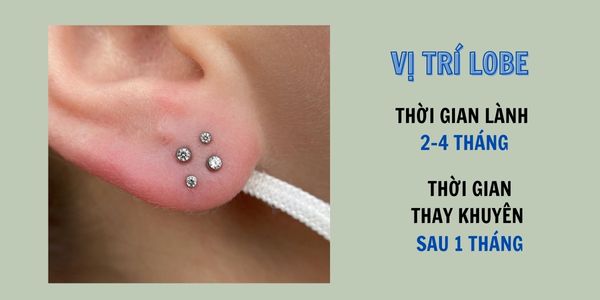 Bấm lỗ tai ở đâu thì đẹp? xỏ khuyên tinybox