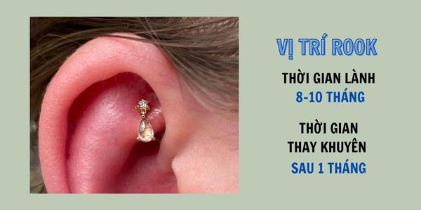 Bấm lỗ tai ở đâu thì đẹp? xỏ khuyên tinybox