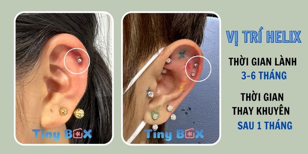 Bấm lỗ tai ở đâu thì đẹp? xỏ khuyên tinybox