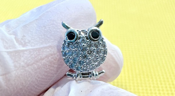 Bông tai cho bé 5 tuổi