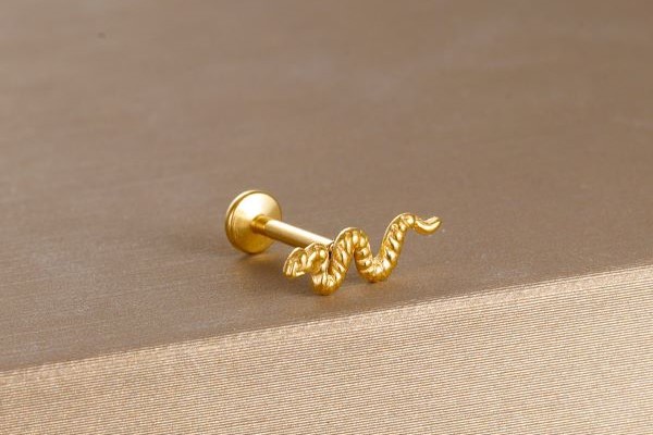 Bông tai con rắn chui dẹp